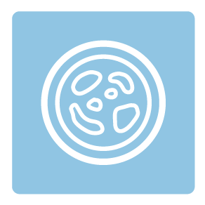 保存効力試験（チャレンジテスト）