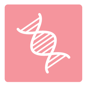 in vitro有用性試験