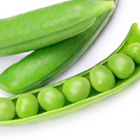 アナゲインNu（AnaGain&trade; Nu）