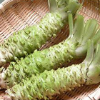 金印ワサビスルフィニル&reg;