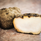 こんにゃくセラミド