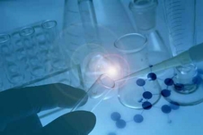 国内外の原料の探索と紹介