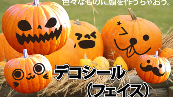 顔型デコシール