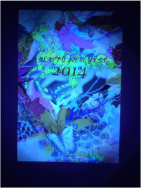 ブラックライト照射後